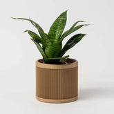 Cache-pot québécois en impression 3D, respectueux de l'environnement